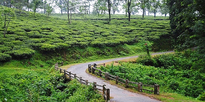 Darjeeling & Dooars tour